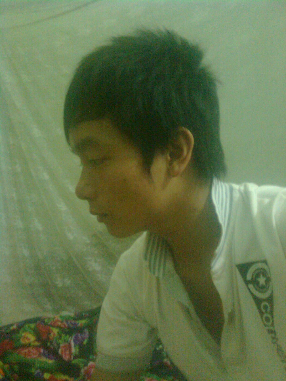 Hnh nh0015
